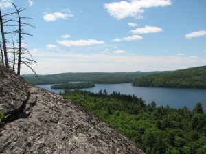 Connected forest lake in Algonquin Park